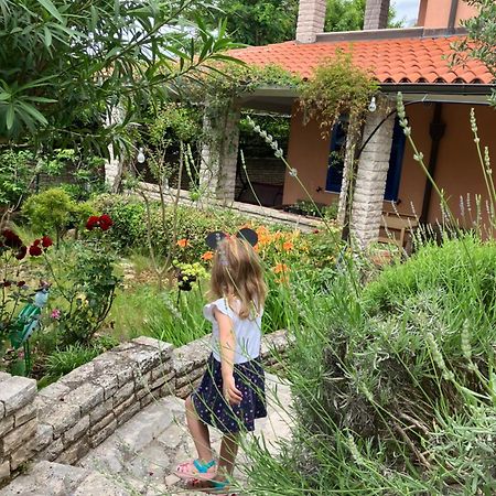 פולה Goga Apartments מראה חיצוני תמונה