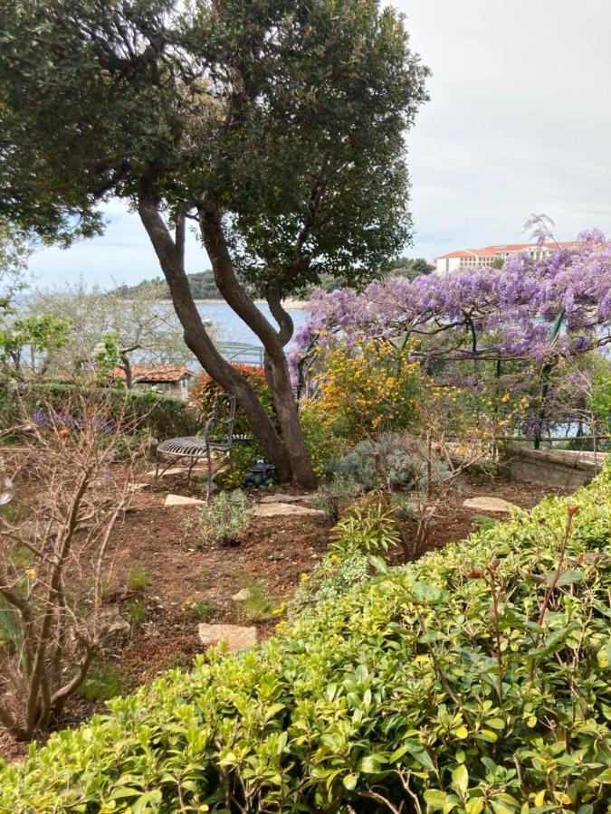 פולה Goga Apartments מראה חיצוני תמונה